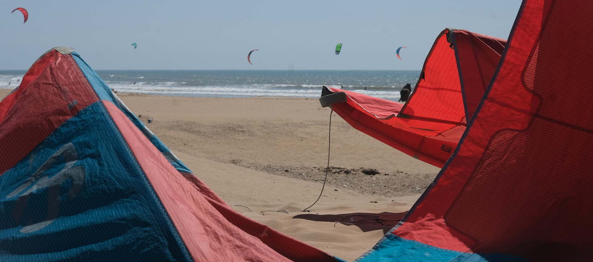  École de Kitesurf & Wingfoil :